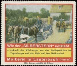 Silberstein Camembert