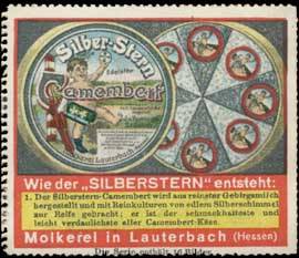 Silber-Stein-Camembert