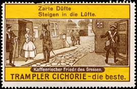 Trampler Cichorie - die beste.