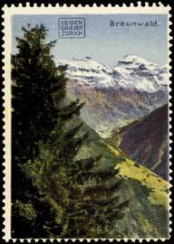 Braunwald