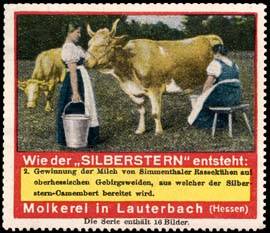 Käse Silberstern-Camembert