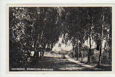 Angermünde Sternfelder Birkenweg ca 1935