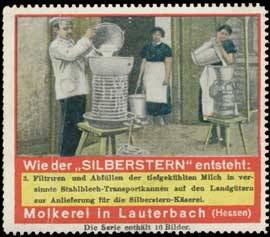 Silber-Stein-Camembert