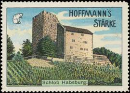 Schloß Habsburg Hoffmanns Stärke