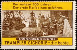 Trampler Cichorie - die beste.