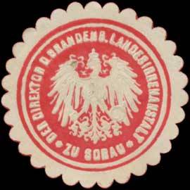 Der Direktor der Brandenburgischen Landesirrenanstalt zu Sorau