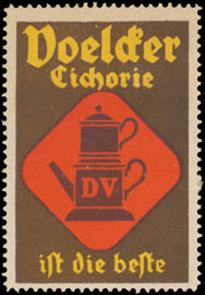 Voelcker Chichorie