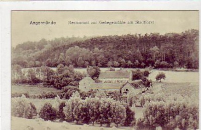 Angermünde Restaurant am Stadforst 1913