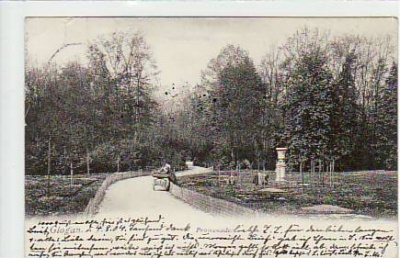 Glogau Schlesien Promenade 1904